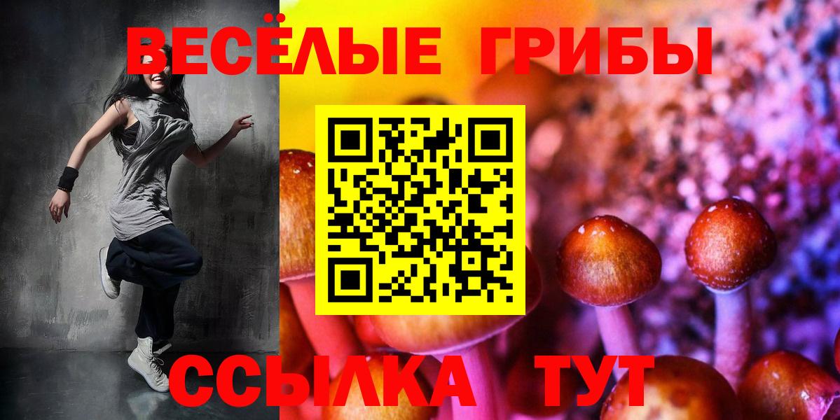Галлюциногенные грибы MAGIC MUSHROOMS Кострома
